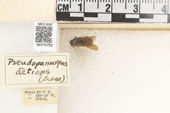 Media type: image;   Entomology 775792 Aspect: Labels